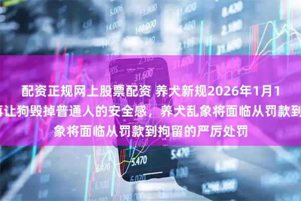 配资正规网上股票配资 养犬新规2026年1月1日落地,希望别再让狗毁掉普通人的安全感，养犬乱象将面临从罚款到拘留的严厉处罚