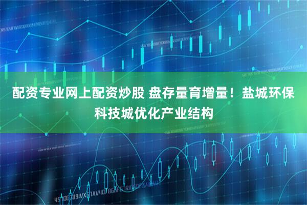 配资专业网上配资炒股 盘存量育增量！盐城环保科技城优化产业结构